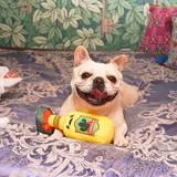 Fiesta Chewsday Tequila Dog Toy