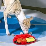 Beach Daze BBQ Grill Dog Toy