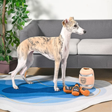 Food Party Whiskey Barrel Dog Toy