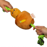 Original Territory Carrot Treat & Tug Toy