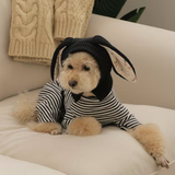 Bunny Ears Hat