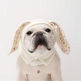 Bunny Ears Hat