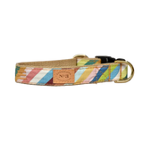 Finnegan's Brooks Stripe Collar