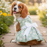 DD Green Daisy Dog Dress with Matching Leash