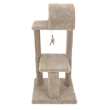 Ware Sleep Slipper Tree