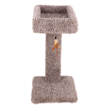 Ware Kitty Cactus with Toy 24inch