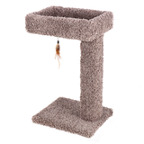 Ware Kitty Cactus with Toy 24inch