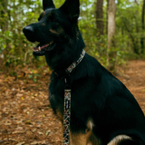 Tails and Trails Camo Trail Collar