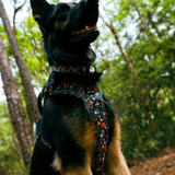 Tails and Trails Floral Adventure Harness