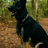 Tails and Trails Double Handle Camo Trail Leash