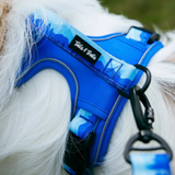 Tails and Trails Glacier Adventure Harness