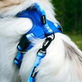 Tails and Trails Glacier Adventure Harness