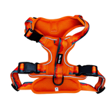 Tails and Trails Sahara Adventure Harness