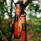 Tails and Trails Sahara Trail Collar