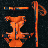 Tails and Trails Sahara Trail Collar