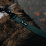 Tails and Trails Double Handle Cedar Trail Leash