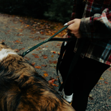Tails and Trails Double Handle Cedar Trail Leash