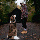 Tails and Trails Double Handle Cedar Trail Leash