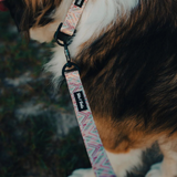 Tails and Trails Double Handle Golden Hour Trail Leash