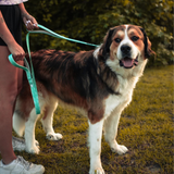 Tails and Trails Double Handle Island Trail Leash