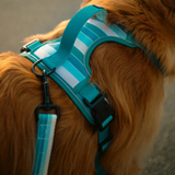 Tails and Trails Double Handle Tide Break Trail Leash