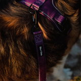 Tails and Trails Double Handle Elderberry Trail Leash
