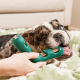 Woof Pet Bite N Brush Beef Refill