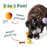 Woof Pet Dog Forager Flyball 3pk