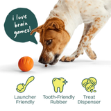 Woof Pet Dog Forager Flyball 3pk