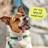 Woof Pet Dog Poomergency Green