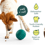 Woof Pet Dog Forager Walkabout