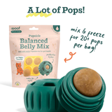 Woof Pet Balanced Belly Pumpkin Pupsicle Mix 5.5oz