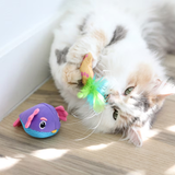 Quirky Kitty Pufferfish Pals 2pk