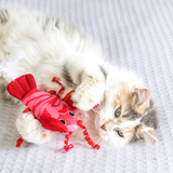 Quirky Kitty Kicker Lobster