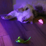 Quirky Kitty Glow Mice 3pk