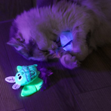 Quirky Kitty Glow Luna Bugs 2pk