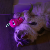 Quirky Kitty Glow Kicker Worm