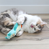 Quirky Kitty Glow Kicker Night Owl