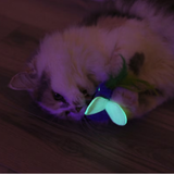 Quirky Kitty Glow Bugs 3pk