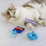 Quirky Kitty Furst Class 3pk