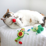 Quirky Kitty Flinging Fitness 3pk