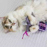 A fluffy long-haired cat lies on a textured white blanket, holding a purple dragon-shaped plush toy with pink tassels. A purple tag reading 'DRAGON RIDER' is attached to the toy.