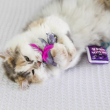 A fluffy calico cat lies on a white textured blanket, playfully biting a purple dragon-shaped toy with bright pink feathers. A purple tag reading 'DRAGON RIDER' is visible beside the toy.