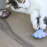 Quirky Kitty Otterly Cool 2pk