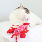 Quirky Kitty Kicker Lobster
