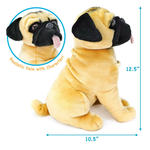 A plush pug toy shown on a white background with blue dimension arrows indicating 12.5 inches tall and 10.5 inches wide.