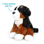 A plush Bernese mountain dog toy sitting on a white background, with blue text reading 'I have premium soft fur!' pointing to the fur.