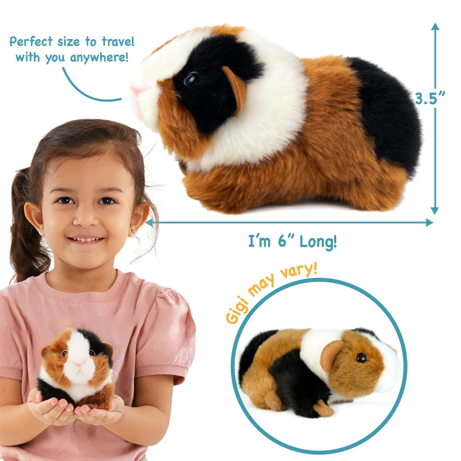 A plush guinea pig toy is shown on a white background with measurement arrows indicating 3.5 inches tall and 6 inches long, plus text noting the color patches may vary.