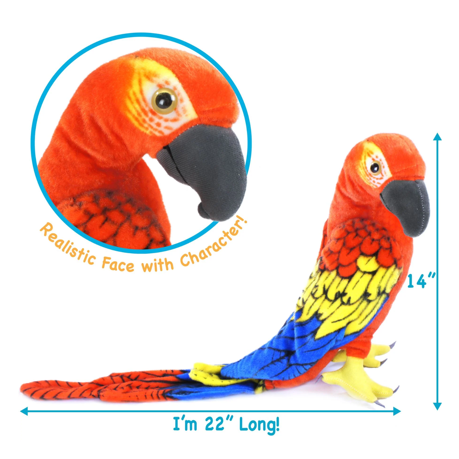 A colorful parrot plush toy shown on a white background with measurement arrows and text indicating its length of 22 inches and height of 14 inches. An inset circle highlights the realistic face and character detail.