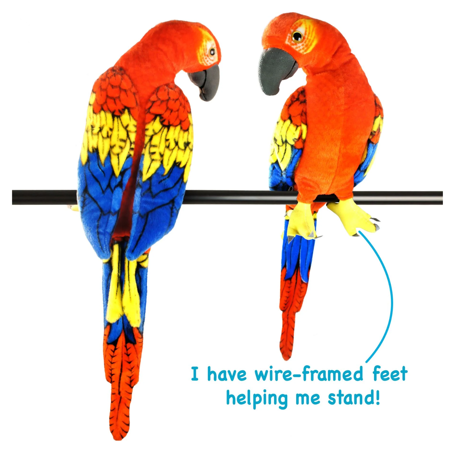 A colorful plush toy parrot perched on a black horizontal wire, shown from two angles on a white background with a blue callout line and text that says, 'I have wire-framed feet helping me stand!' The toy has bright red-orange body feathers, blue wings, yellow accents, and a dark gray beak.